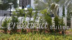 centennia suite_1